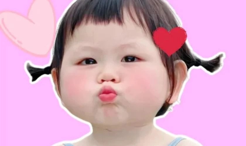 Meme chú chó con lông trắng với đôi mắt to tròn, biểu cảm cute