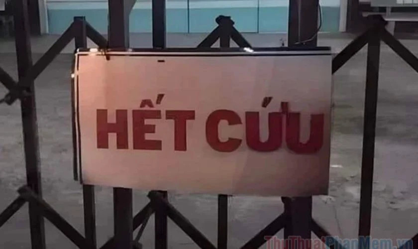 Chú chó với biểu cảm buồn bã, "hết cứu" trước số phận