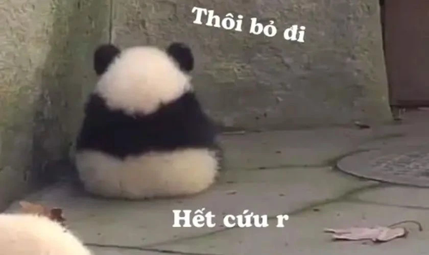 Chân dung người đàn ông với khuôn mặt "không thể tin được"