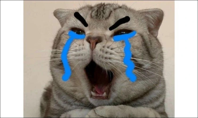 Meme cô gái với biểu cảm "chán nản muốn khóc" nhưng vẫn hài hước