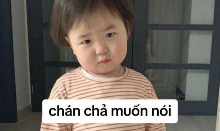Meme người phụ nữ với ánh mắt "chịu thua", rất biểu cảm