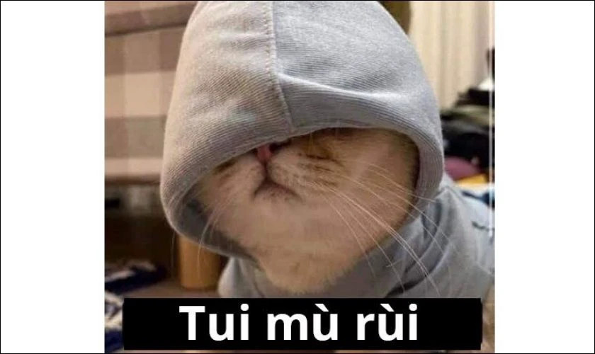 Meme một người đang gục đầu với biểu cảm "tôi mệt rồi"
