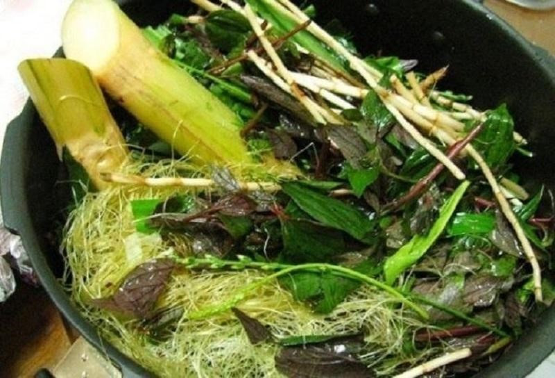 Hỗn hợp dược liệu khô, bao gồm cây thuốc dòi, dùng để sắc nước giải nhiệt