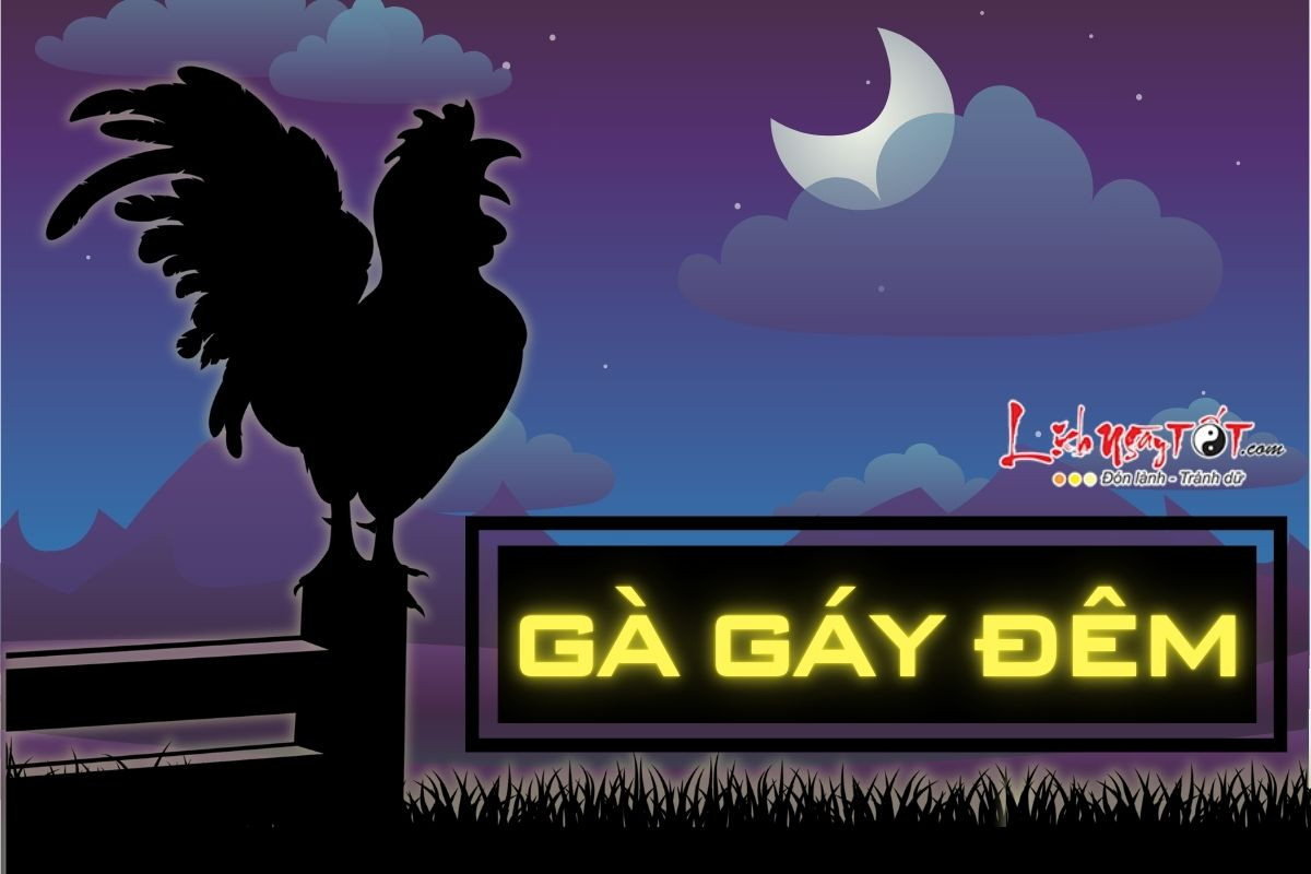 Gà gáy đêm là điềm gì