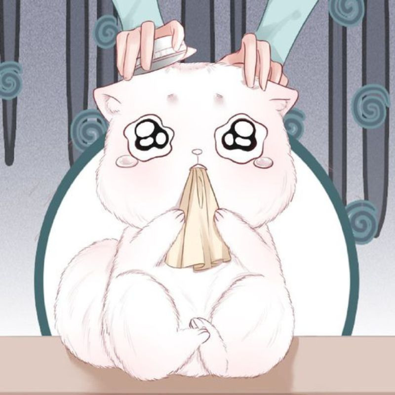 Meme mèo khóc slay với giọt nước mắt lấp lánh dưới ánh sáng