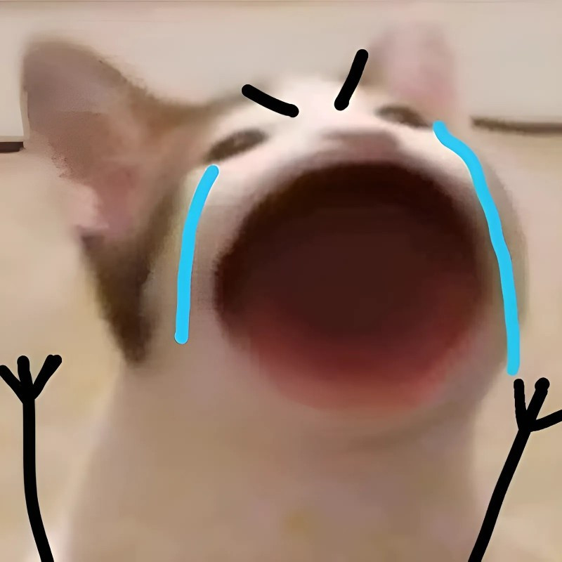 Meme mèo khóc thét với khuôn mặt méo xệch vì buồn