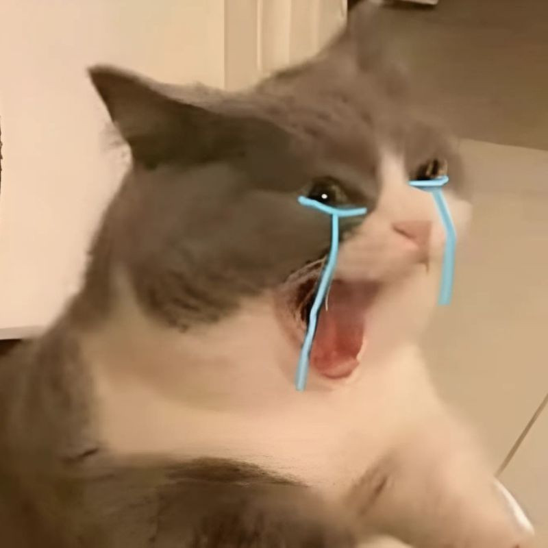 Meme mèo khóc cười với đôi mắt to tròn, buồn bã