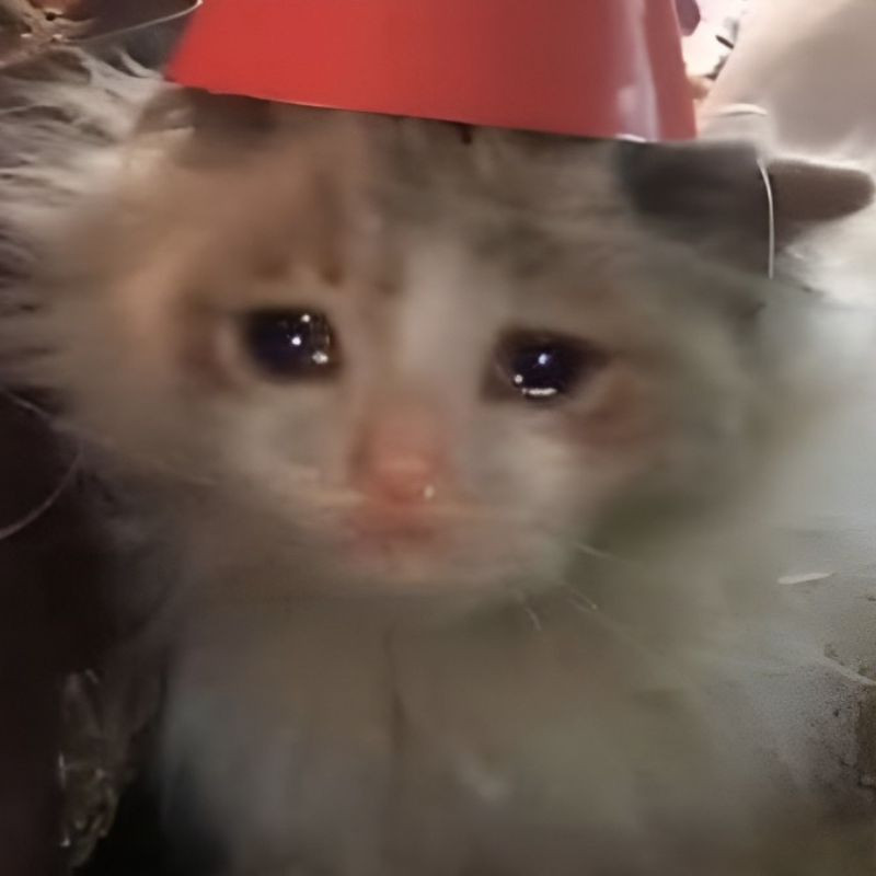 Avatar mèo khóc cute với biểu cảm buồn bã và khuôn mặt bé xíu