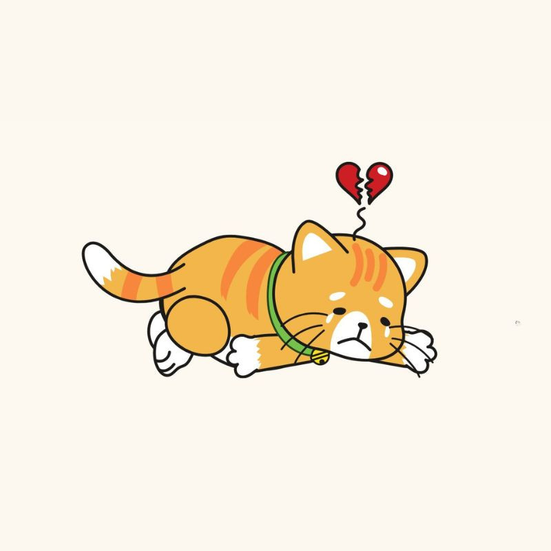 Meme mèo khóc cute với đôi mắt mở to, nước mắt chảy thành dòng