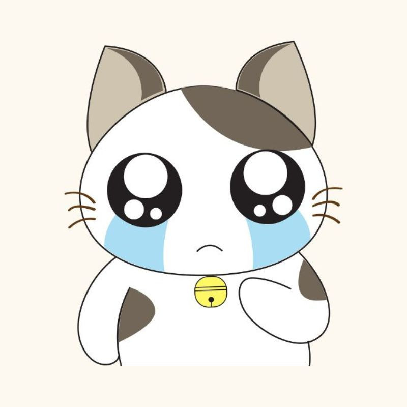 Hình ảnh mèo khóc cute với vẻ mặt tủi thân dễ thương