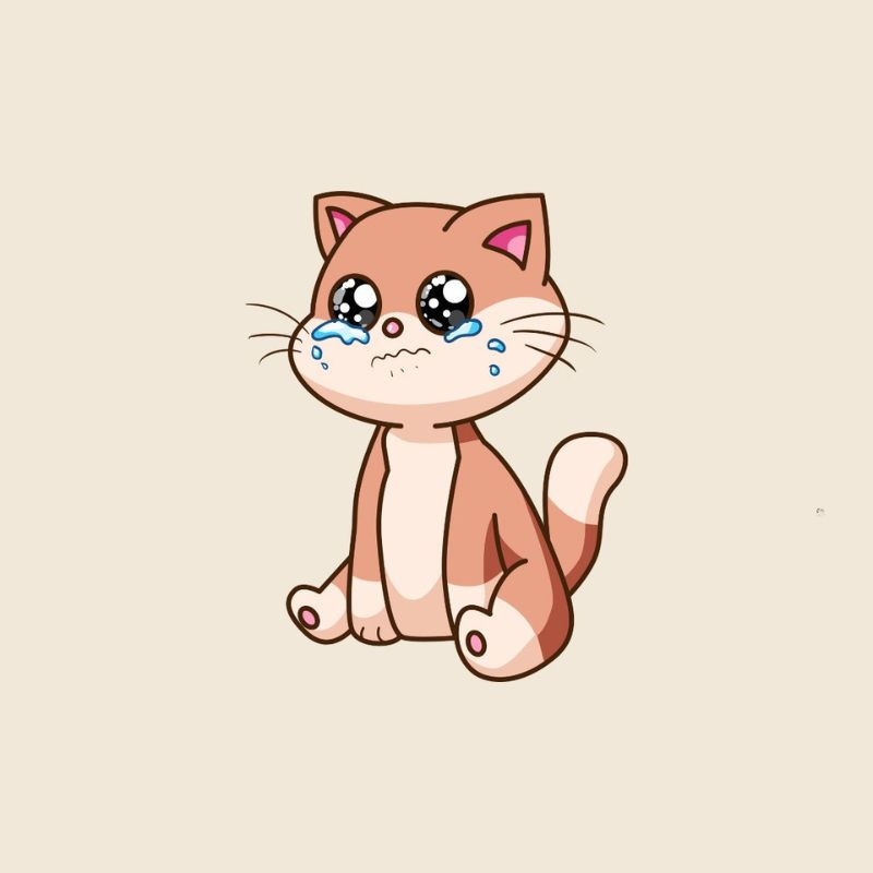Mèo dỗi với đôi tai cụp xuống, thể hiện sự không hài lòng