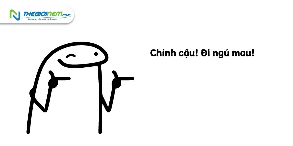 Meme con cú mắt to tròn đang cố gắng giữ tỉnh táo nhưng đã rất buồn ngủ