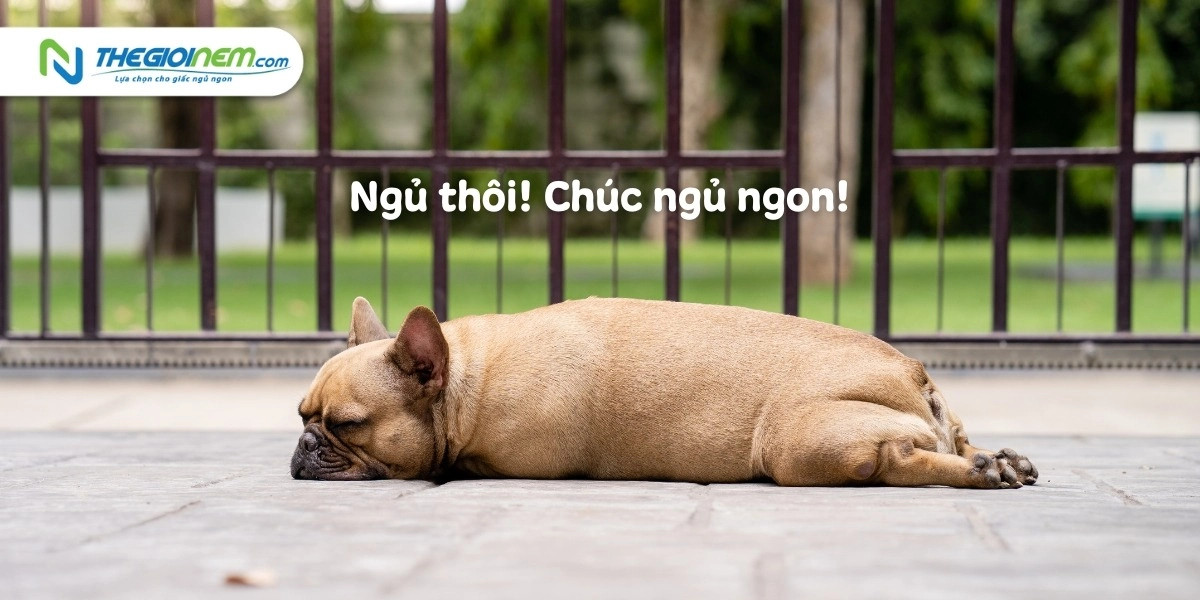 Hình ảnh chú bé ngái ngủ với gương mặt ngộ nghĩnh, đại diện cho những ai vật lộn với cơn buồn ngủ