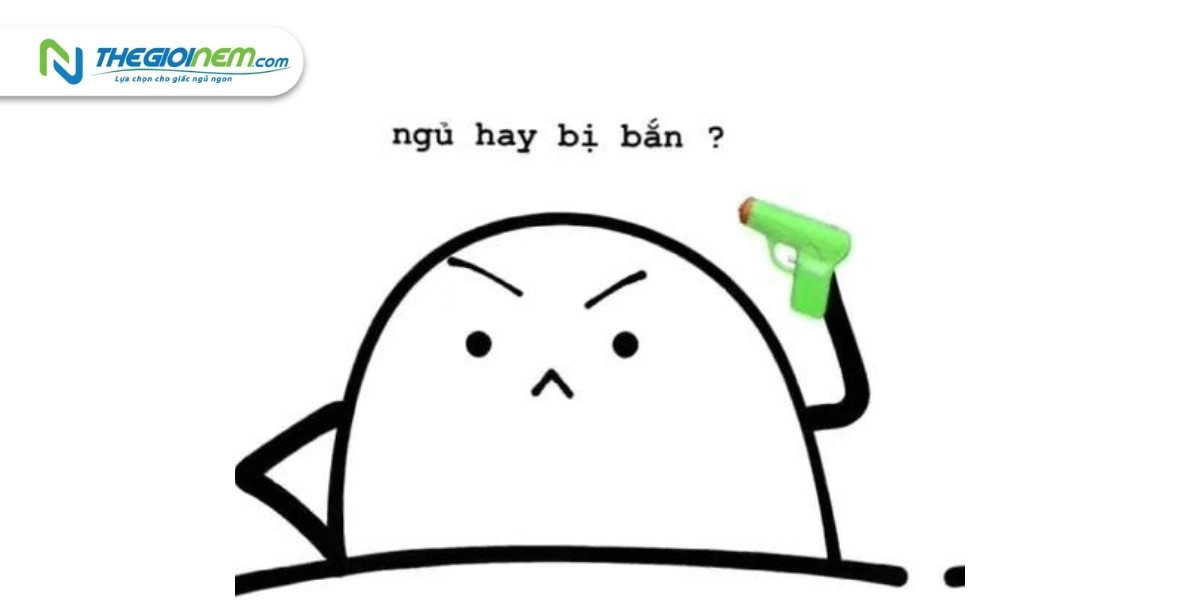 Hình ảnh động vật ngáp ngủ, mắt lim dim, gợi cảm giác buồn ngủ cực độ