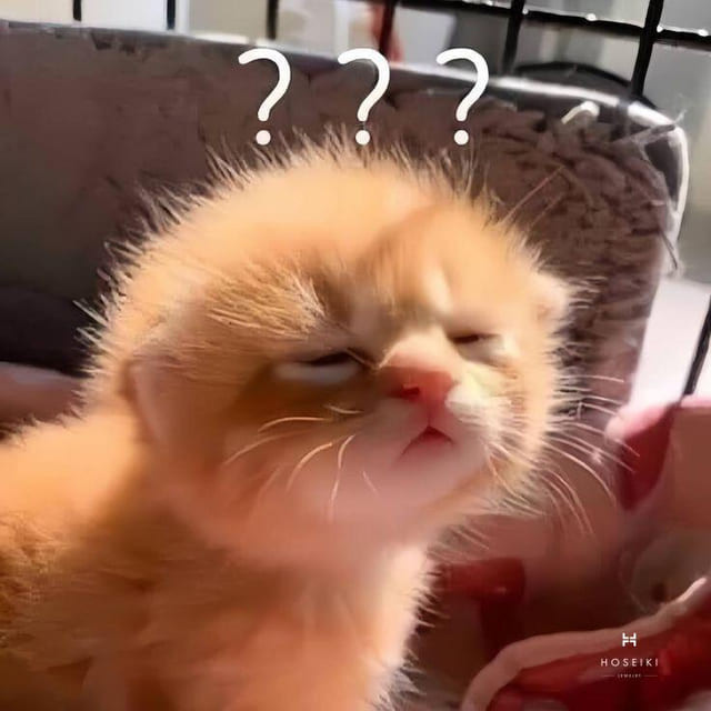 Hình ảnh một nhân vật hoạt hình với khuôn mặt trống rỗng, đại diện cho tinh thần meme vô tri hài hước