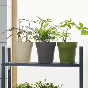 Một bàn tay đang nhẹ nhàng thu hoạch một bó rau xanh tươi từ luống đất trồng