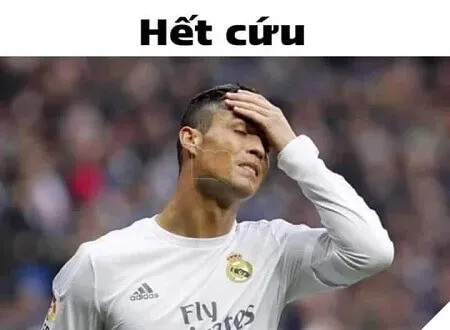 Hình ảnh một người đang bóp trán với biểu cảm bất lực, đại diện cho cảm xúc "hết cứu"