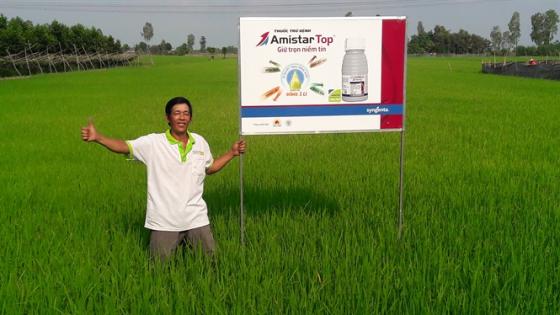 Người nông dân đang kiểm tra vườn lan khỏe mạnh sau khi sử dụng Amistar Top, thể hiện sự tăng trưởng và sức sống của cây
