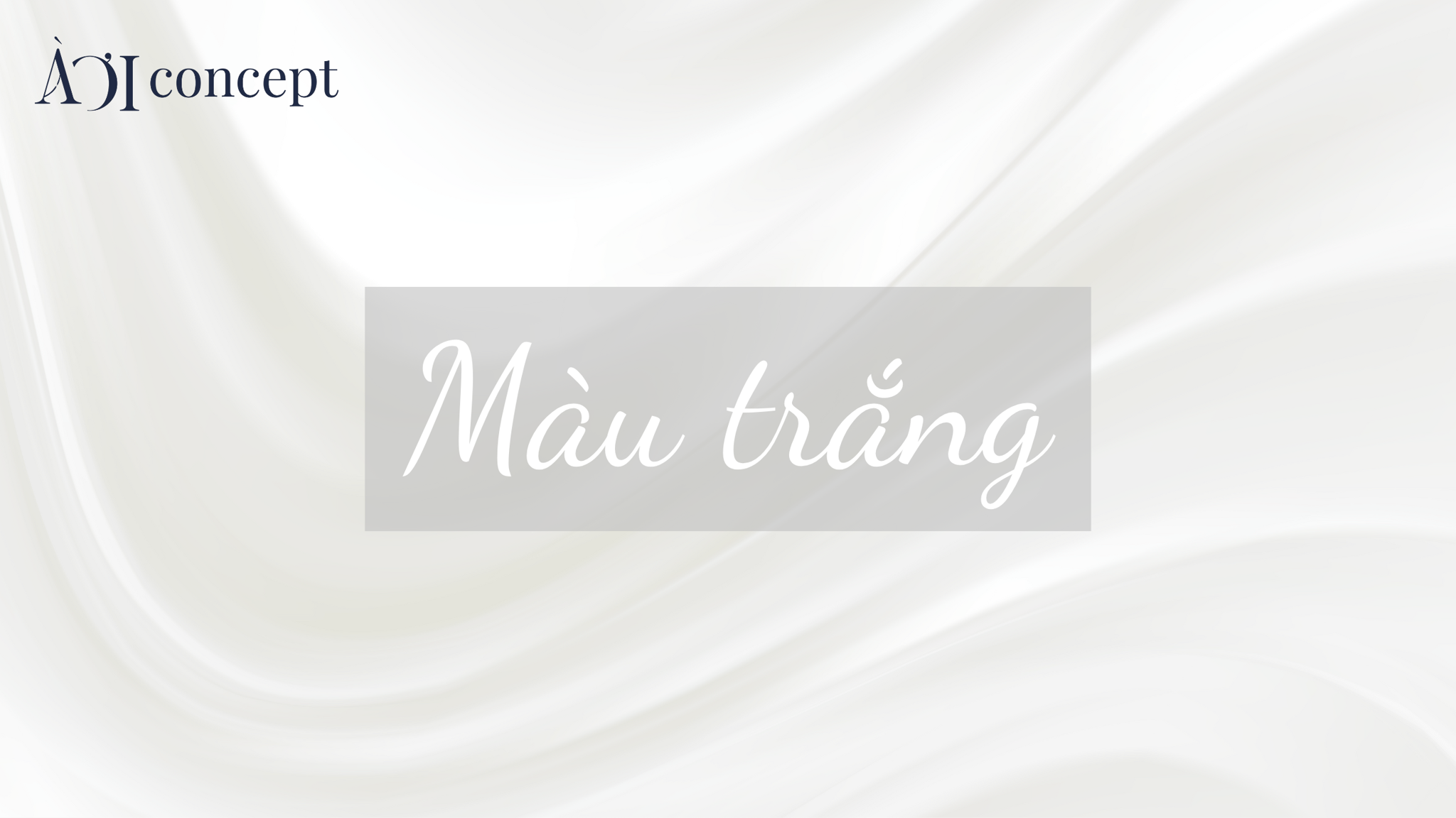 Hình ảnh hoa phong lan trắng tinh khiết, tượng trưng cho sự thuần khiết và vẻ đẹp vượt thời gian