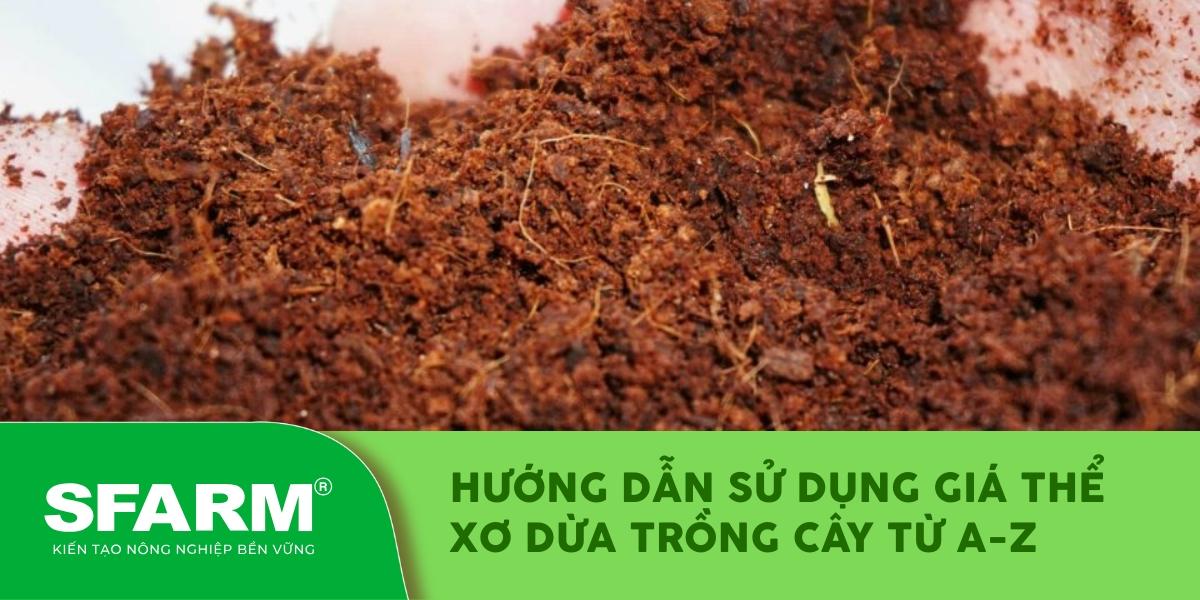 Ngâm vỏ dừa tươi để xử lý, loại bỏ chất chát và muối khoáng trước khi dùng trồng lan
