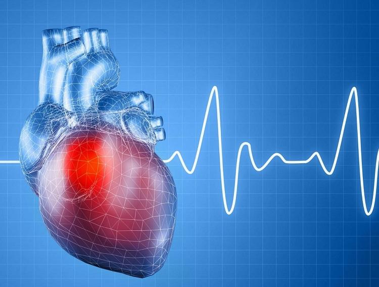 Tưới bột ngọt cho rau: Cảnh báo về những rủi ro tiềm ẩn và các trường hợp cần tránh