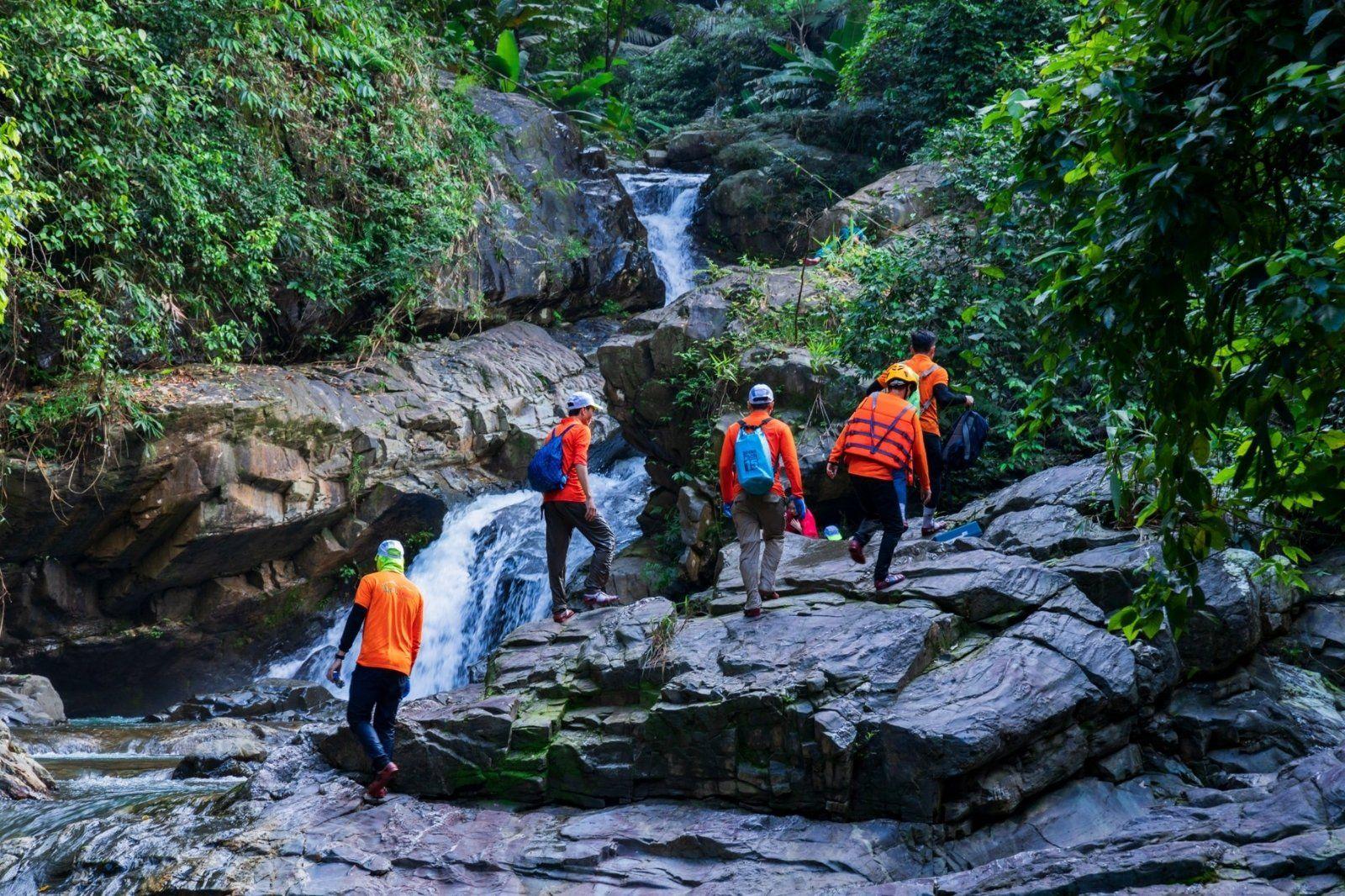 Vẻ đẹp hoang dã và bí ẩn của hoa phong lan rừng trong môi trường tự nhiên, thu hút người yêu hoa