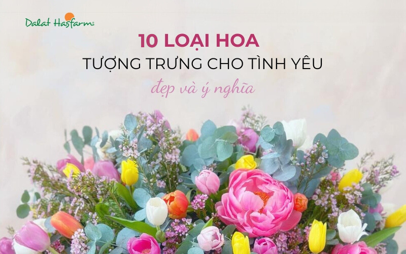 Hình ảnh hoa hồng đỏ tượng trưng cho tình yêu nồng nàn, đam mê cháy bỏng khi tặng người yêu