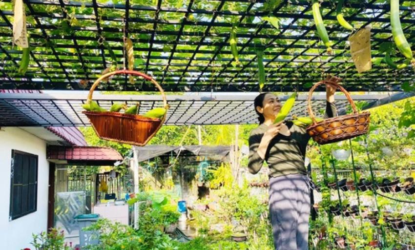 Hình ảnh minh họa cây xanh tốt nhờ bón phân đúng cách và bí quyết vườn xanh quanh năm