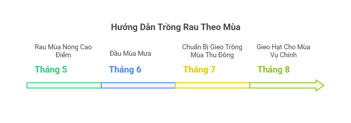 Lịch trồng rau miền Bắc theo tháng giúp vườn rau xanh tốt quanh năm