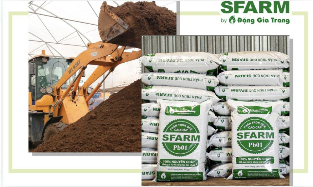 Sản phẩm phân bón hữu cơ SFARM chất lượng, đáng tin cậy cho nông nghiệp