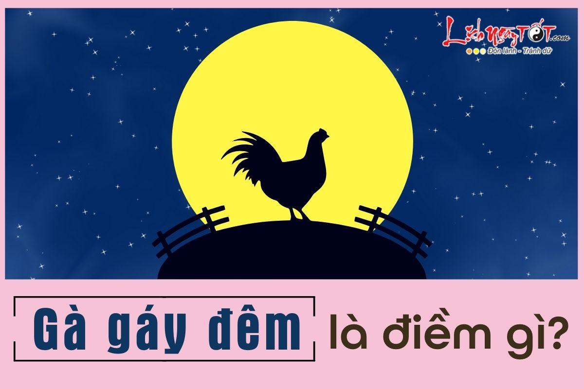 Gà gáy đêm