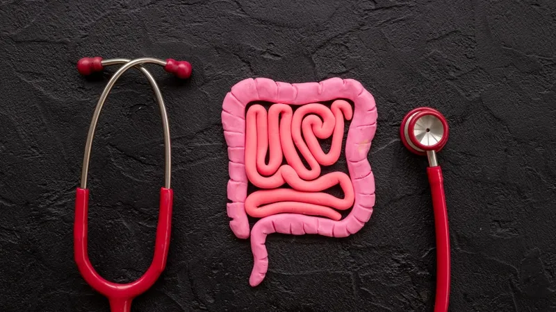 Chủng lợi khuẩn Bacillus subtilis giúp tăng cường hệ miễn dịch đường tiêu hóa