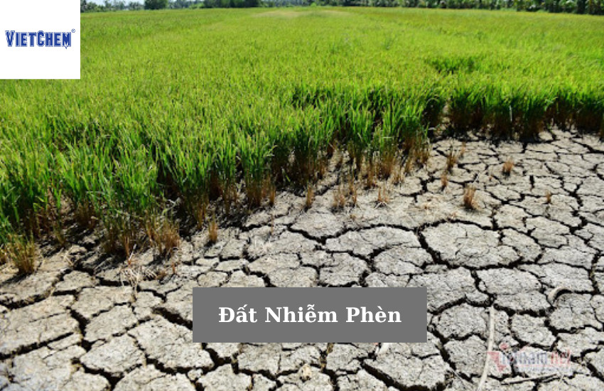 Đất Nhiễm Phèn
