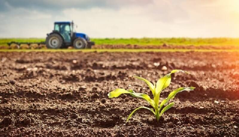 Đất phù sa thích hợp cho canh tác nông nghiệp