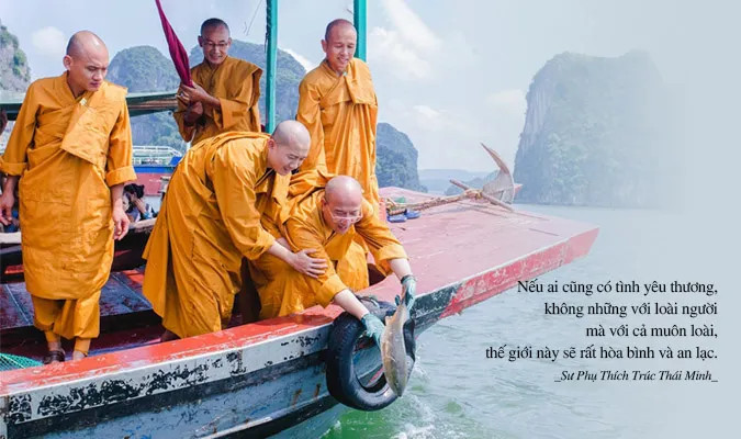 Hành động Phóng Sanh - Phát tâm từ bi giải thoát sinh linh