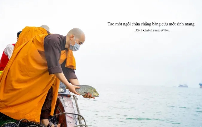 Người Phật tử thực hành nghi thức phóng sanh để hồi hướng công đức