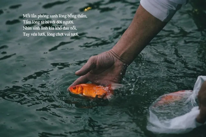 Hình ảnh người đang làm nghi lễ phóng sanh chim chóc