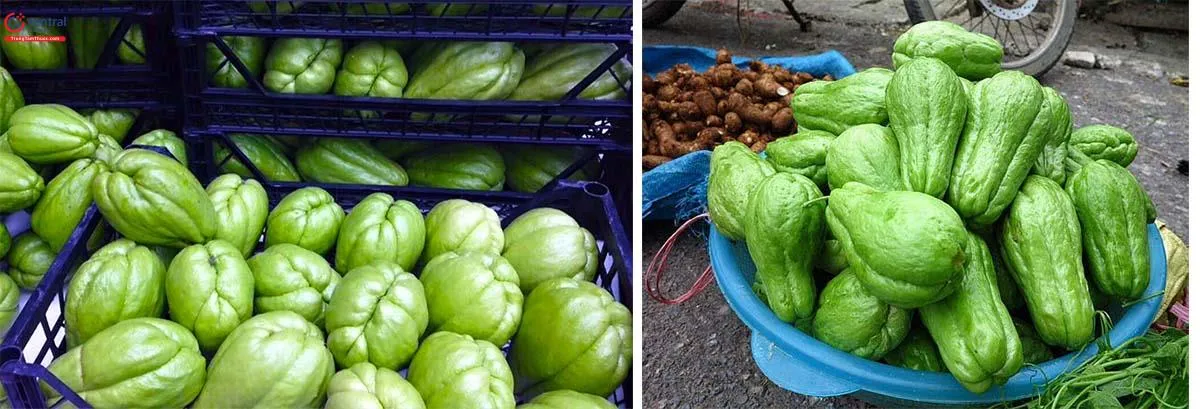 Giá trị dinh dưỡng của Su Su