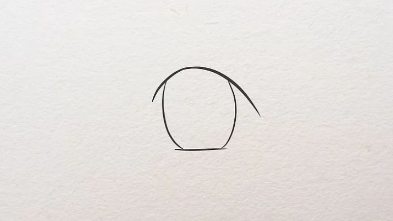 Phác họa hình oval lớn làm mống mắt
