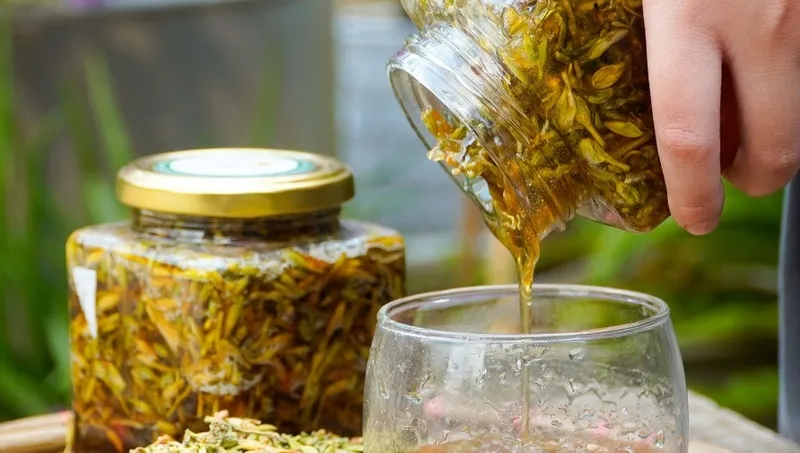Hoa đu đủ đực ngâm mật ong trị ho rất tốt